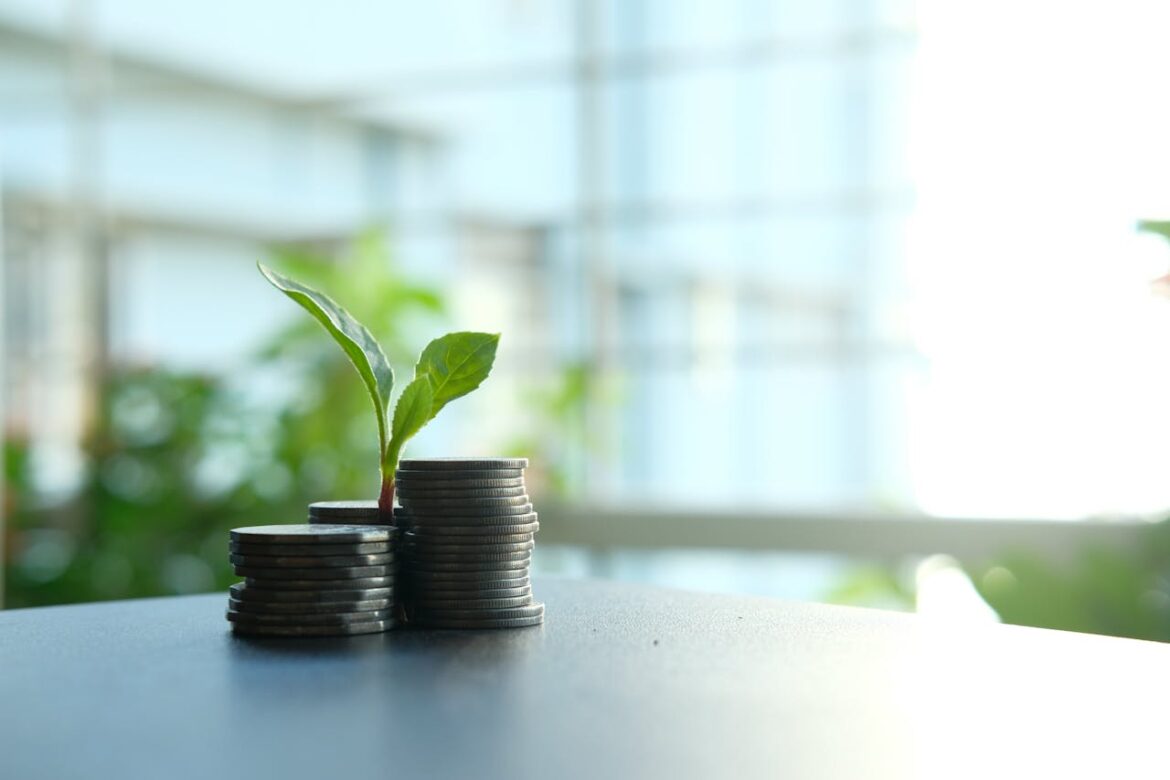 Slim investeren: zo financier je de groei van je bedrijf