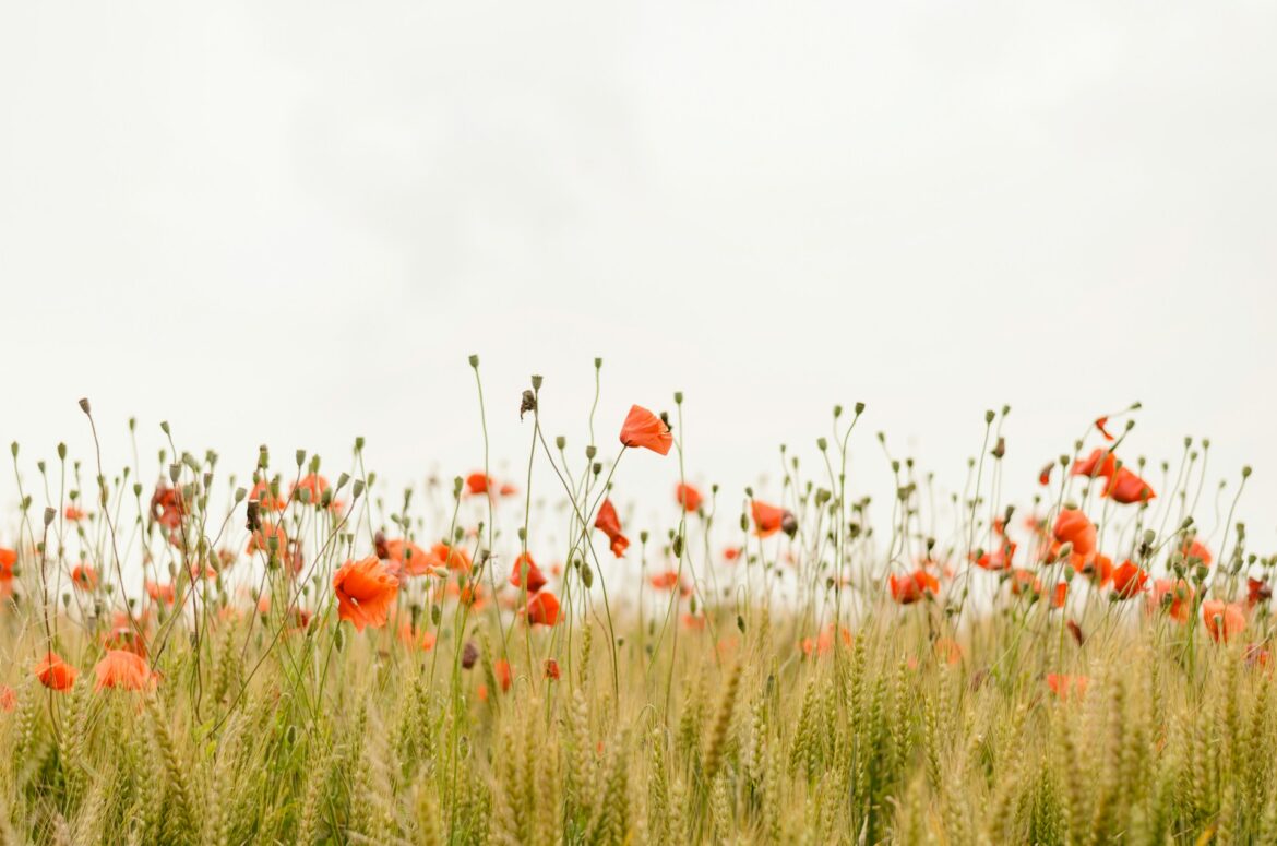Wat er wel en niet mag rond een laatste rustplaats in de natuur